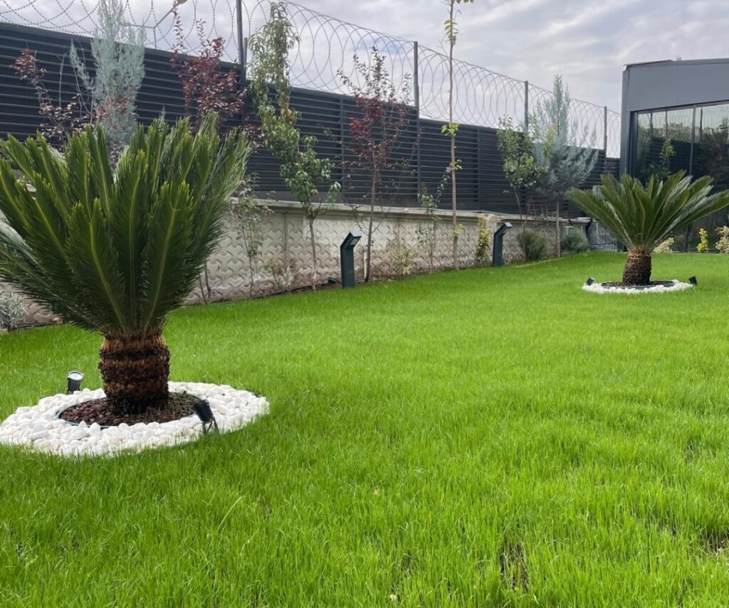 Villa bahçesi peyzajı